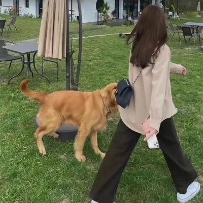 你行
